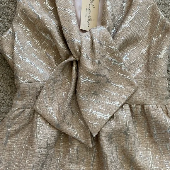 Vintage hunter Dixon brocade lined dress in silver & blush size 2 - Picture 3 of 14